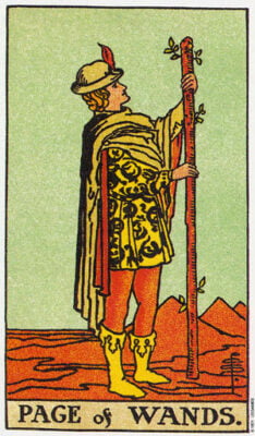 Page Of Wands Tarot